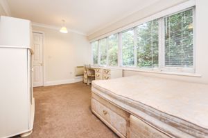 Photo 11- click for photo gallery